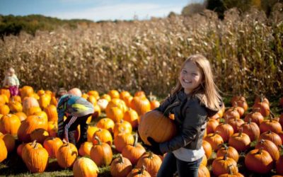 What does Fall mean for your kids?