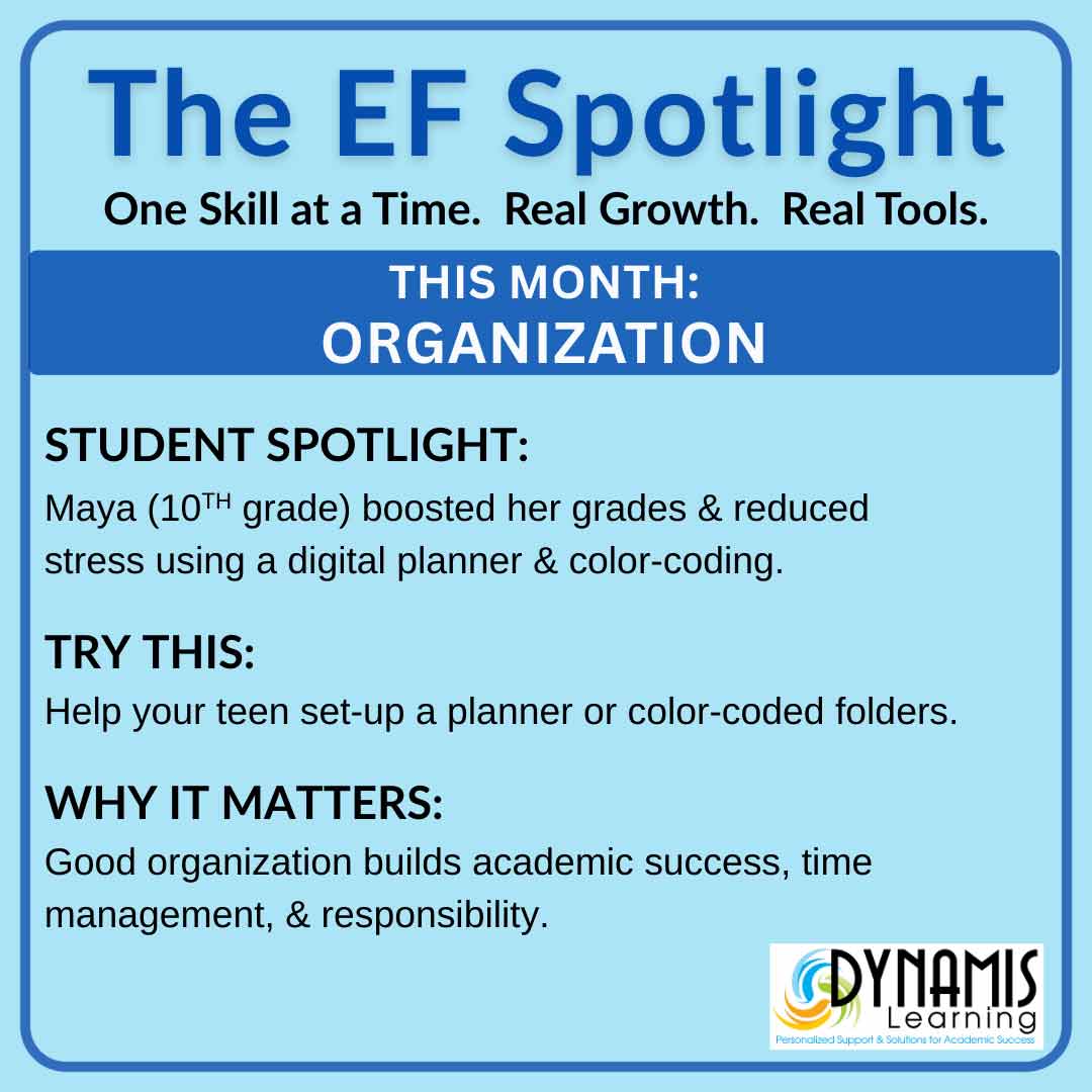 EF-Organization