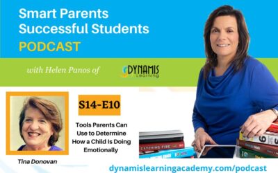 Tools Parents Can Use to Determine How a Child Is Doing Emotionally